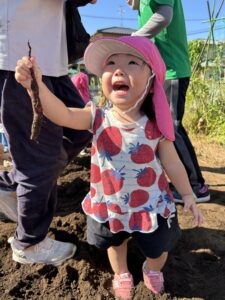 愛育保育園_お芋掘り1