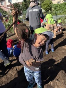 愛育保育園_お芋掘り2