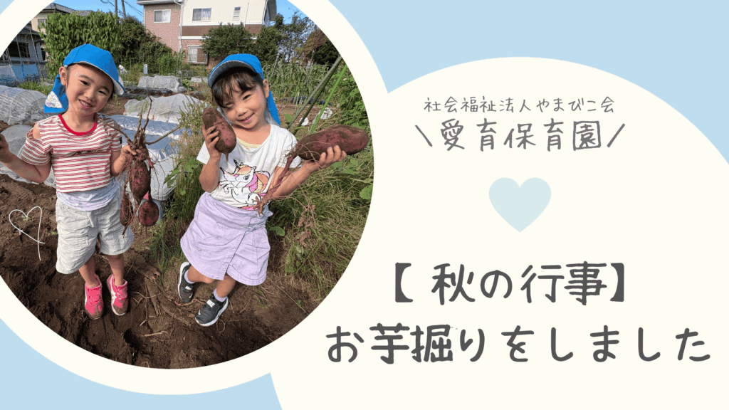 愛育保育園_お芋掘り